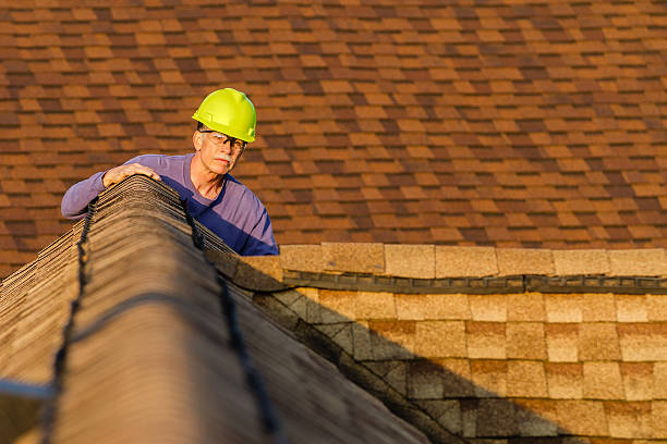 Roof Gutter Cleaning in Mount Pleasant, UT